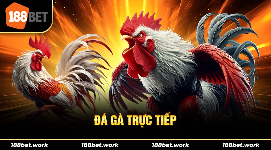 Đá gà 188bet được truyền hình trực tiếp thuật tiện cho người chơi vừa xem vừa cá cược